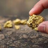 Stor guldklump fra guldmine holdes mellem tommel- og pegefinger. Kontrære investorer som Doug Casey anbefaler investering i guldmineselskab.